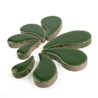 Raindrop Eucalyptus