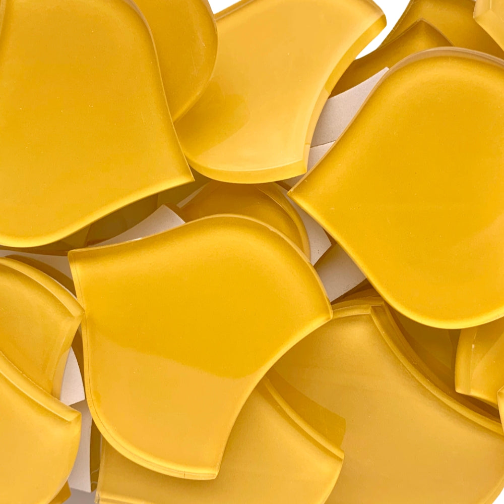 Large Fischcale Corn