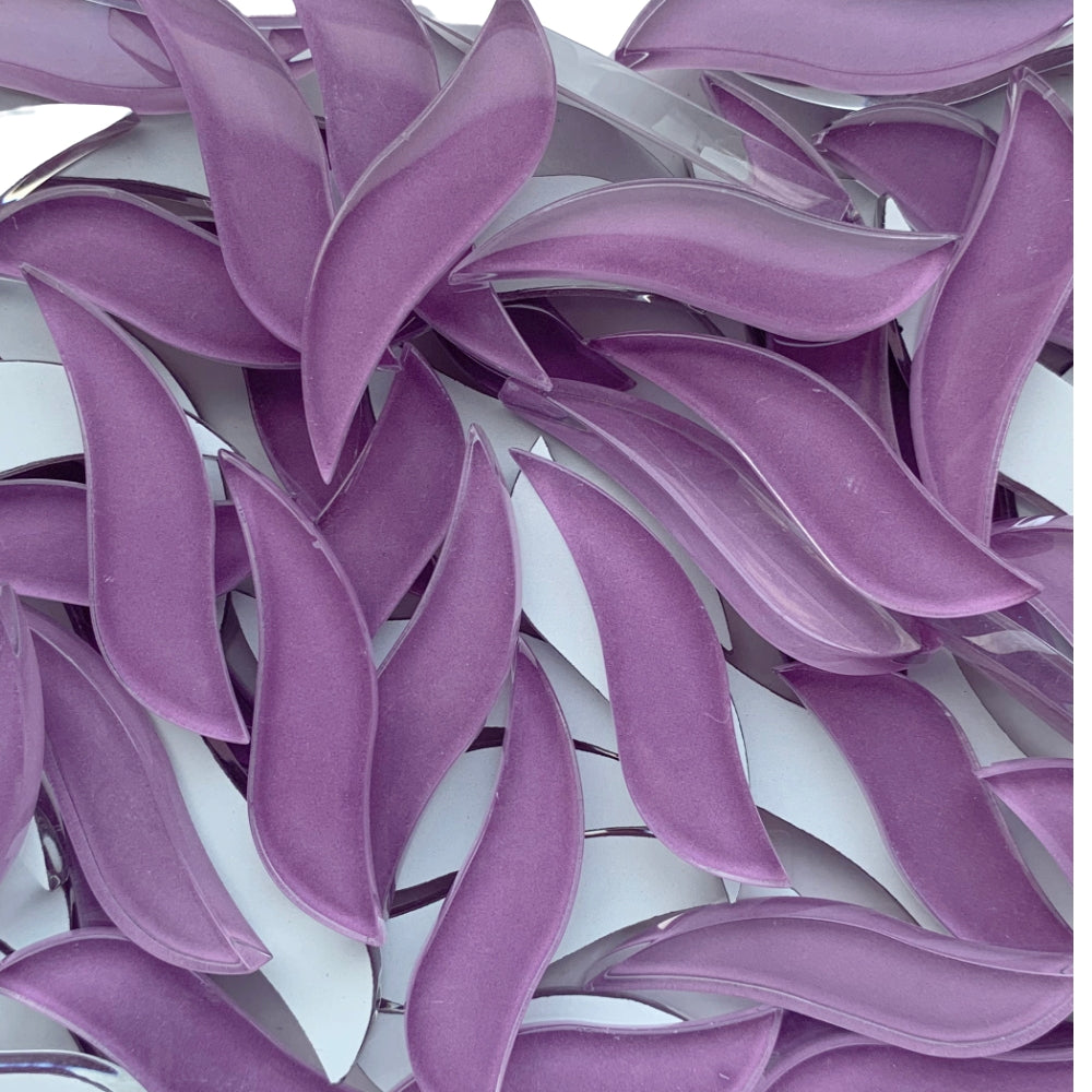 Vlající okvětní lístky orchideje