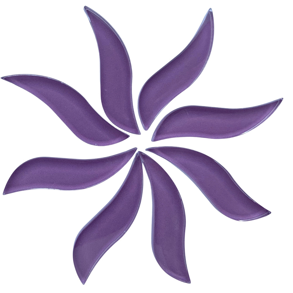 Vlající okvětní lístky orchideje