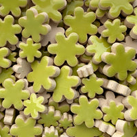 Charms Blumen Kiwi