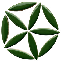 Elipsa Eukalyptus