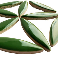 Elipsa Eukalyptus