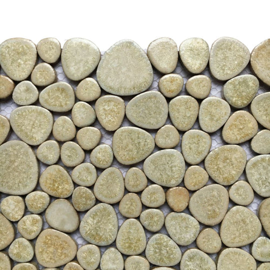 Pebbles  Cockleshell