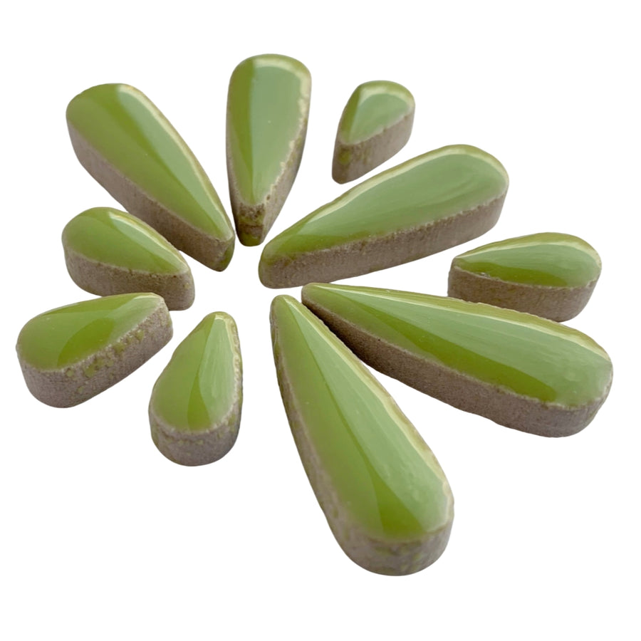 Kapky Kiwi
