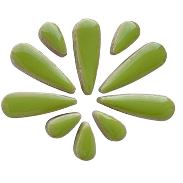 Kapky Kiwi