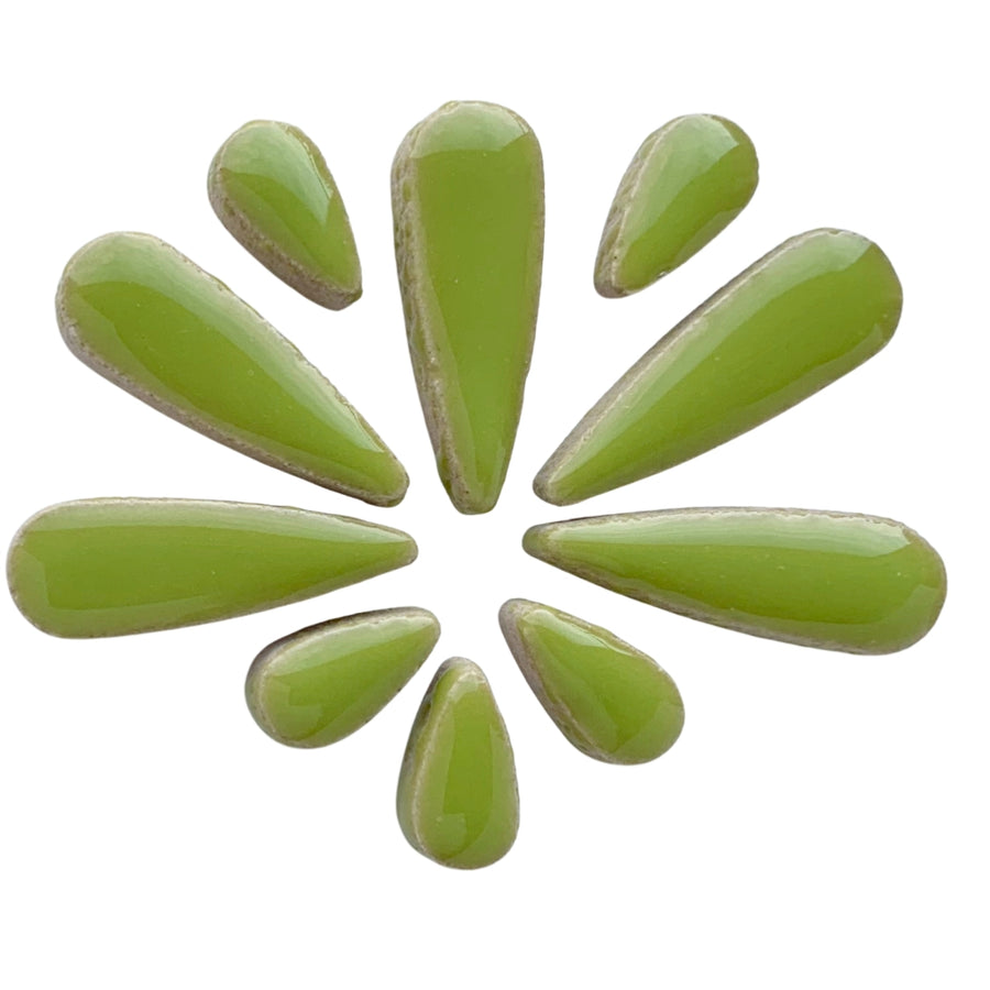 Kapky Kiwi