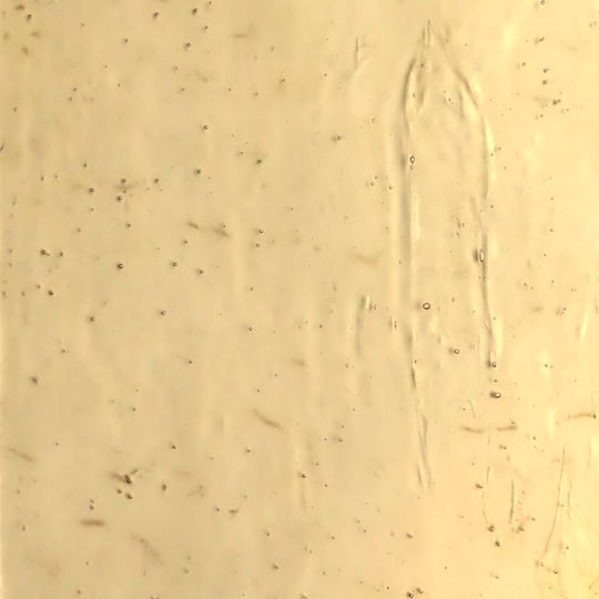 Skleněná deska Šampaňské Antik Sklo