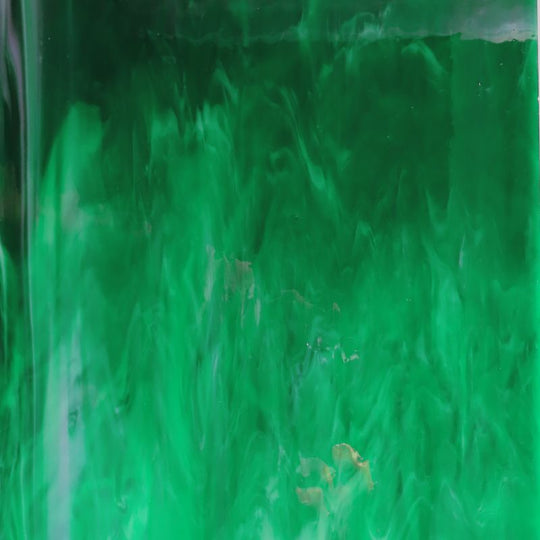 Skleněná deska Kapradina Nejasná