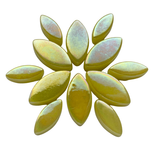 Ottoman Květinové okvětní plátky Perleťová Žlutá