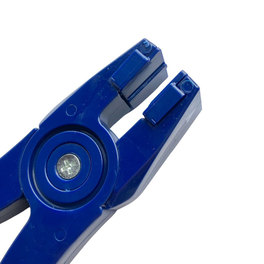 Blue Runner