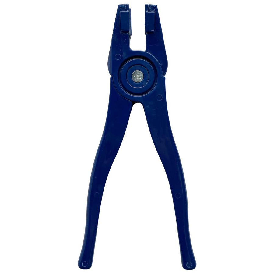 Blue Runner
