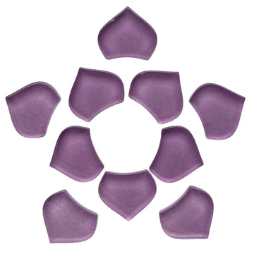 Malá rybí šupina orchidej