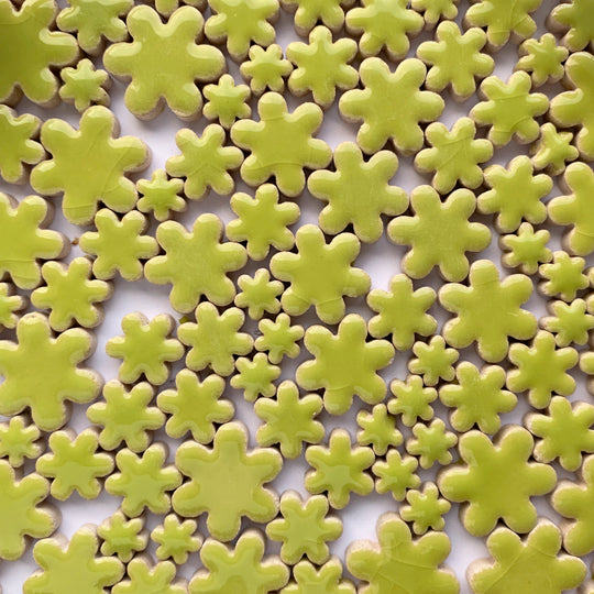 Přívěsky Květiny Kiwi