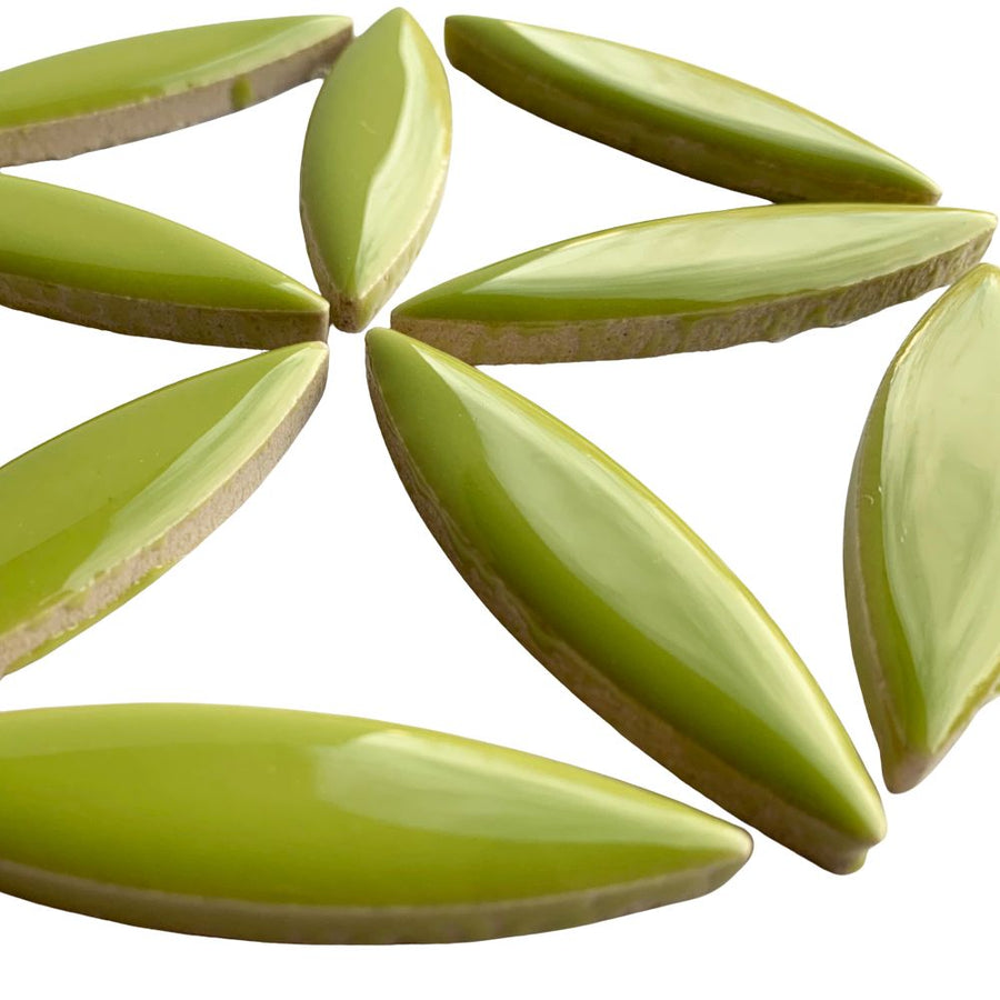 Elipsa Kiwi
