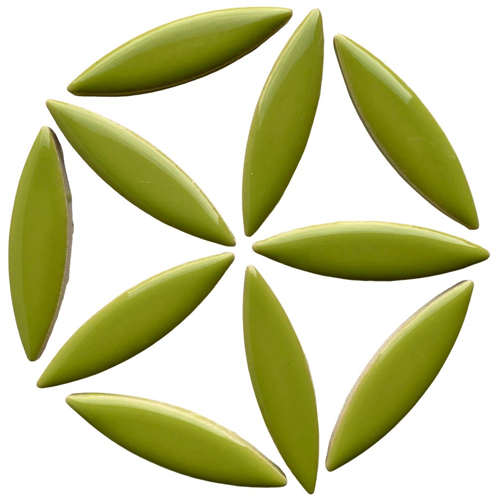 Elipsa Kiwi