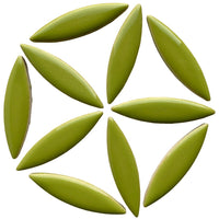 Elipsa Kiwi