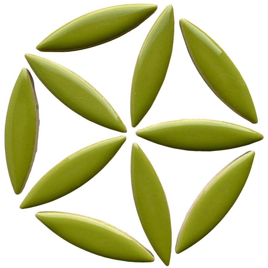 Elipsa Kiwi