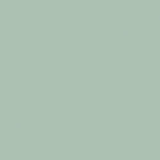Glazed Floor Tiles Aloe 20cm