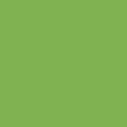 Glazed Floor Tiles Kiwi 20cm