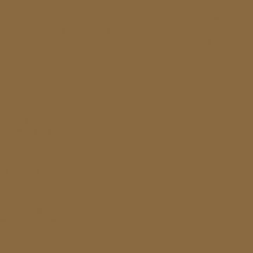 Glazed Floor Tiles Caramello 20cm