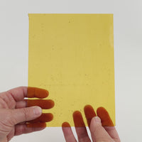 Video of the Amber glass plate in transparant amber, 15x19cm, held up and tilted to show its pattern and transparency