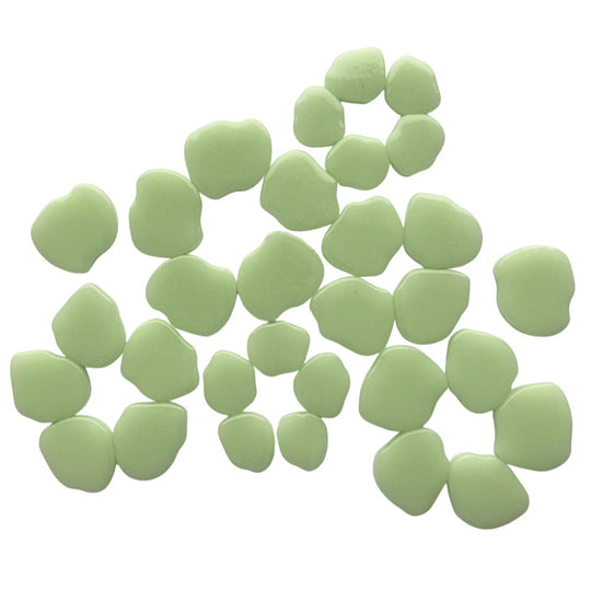 Sakura květ světle zelený