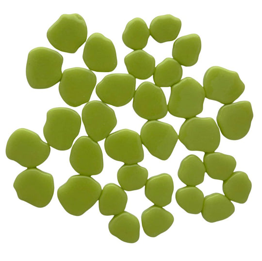 Sakura květ Nová zelená