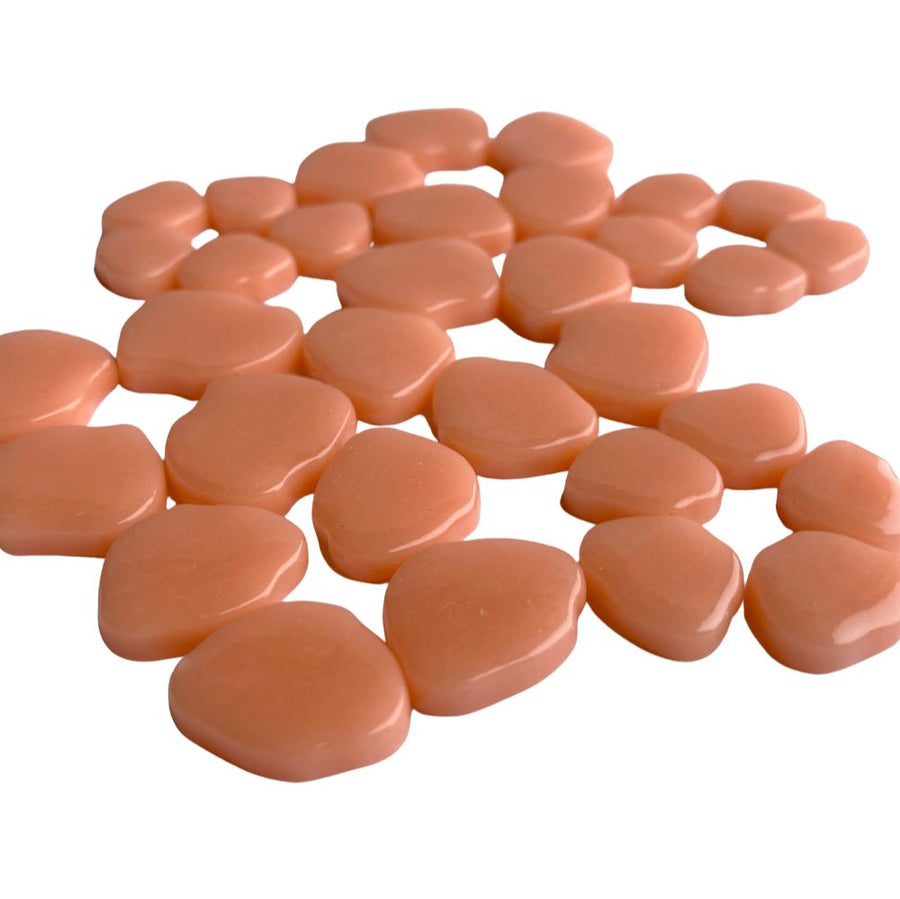 Sakura Blossom Apricot 