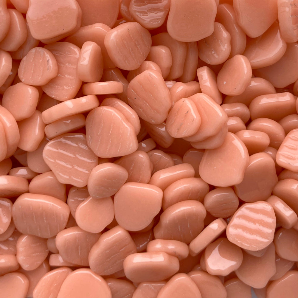 Sakura Blossom Apricot 