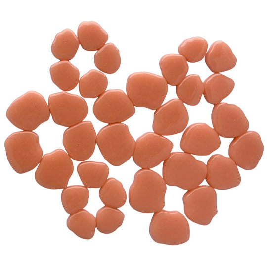 Sakura Květy Meruňka