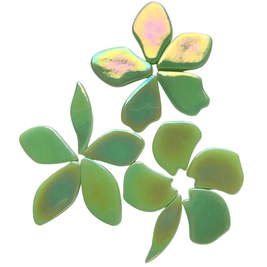 Okvětní lístky Sklo Perleťová Mátově zelená