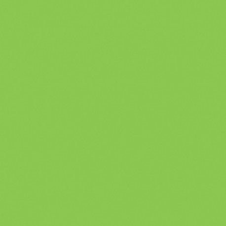 Mosa-17900 Ara Zelená 15cm